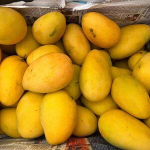 Badami (Banganapalli)